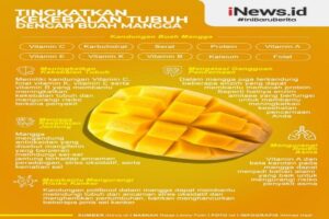 Manfaat Buah Mangga