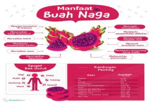 Manfaat Buah Naga