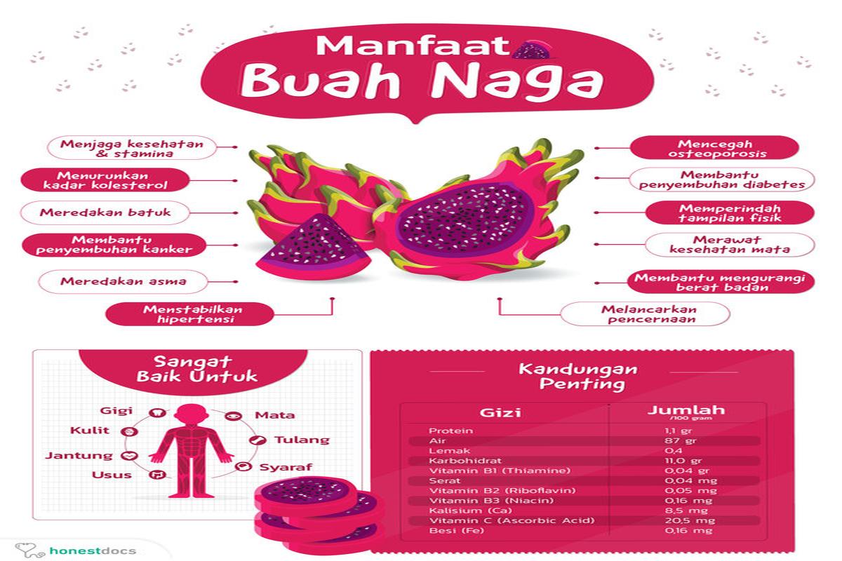 Manfaat Buah Naga