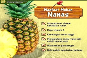 Manfaat Buah Nanas