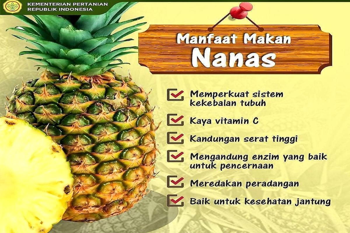 Manfaat Buah Nanas