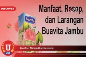 Manfaat Buavita Jambu