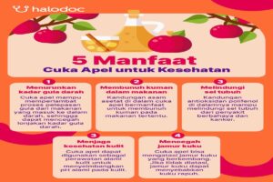 Manfaat Cuka Apel