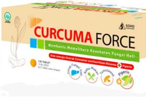 Manfaat Curcuma Force