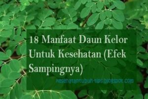 Manfaat Daun Kelor Untuk Kesehatan