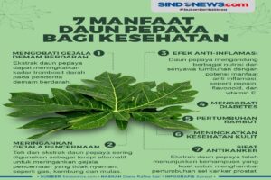 Manfaat Daun Pepaya