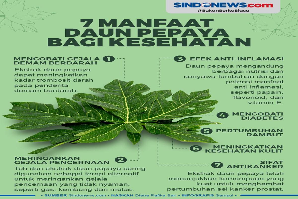 Manfaat Daun Pepaya