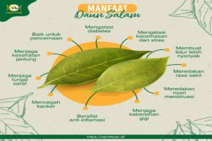 Manfaat Daun Salam