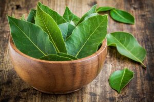 Manfaat Daun Salam Untuk Kesehatan