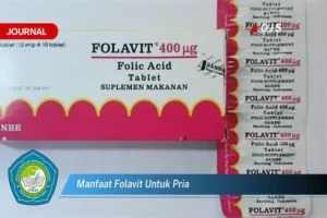 Manfaat Folavit