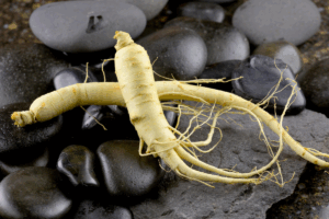 Manfaat Ginseng
