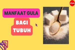Manfaat Gula Bagi Tubuh