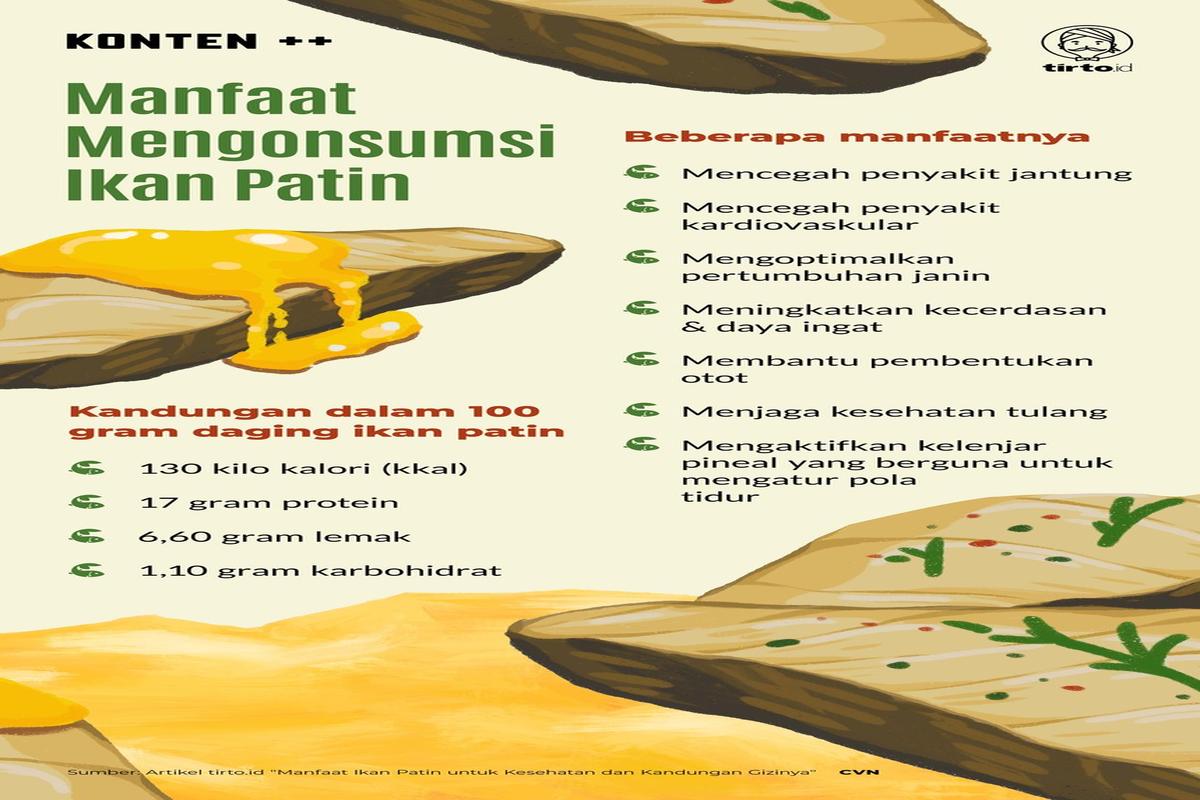 Manfaat Ikan Patin
