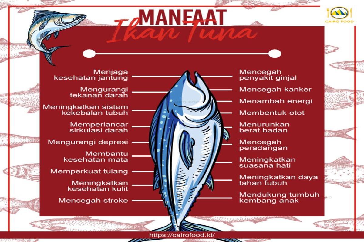 Manfaat Ikan Tuna