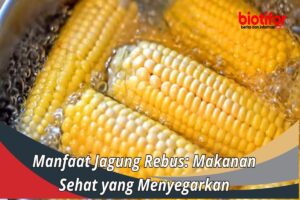 Manfaat Jagung Rebus