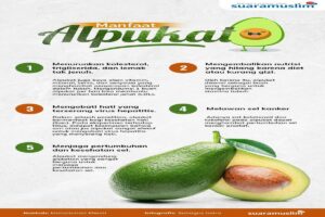 Manfaat Jus Alpukat