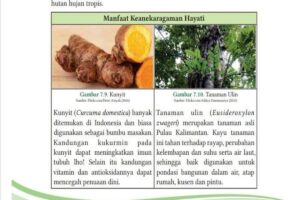 Manfaat Keanekaragaman Hayati