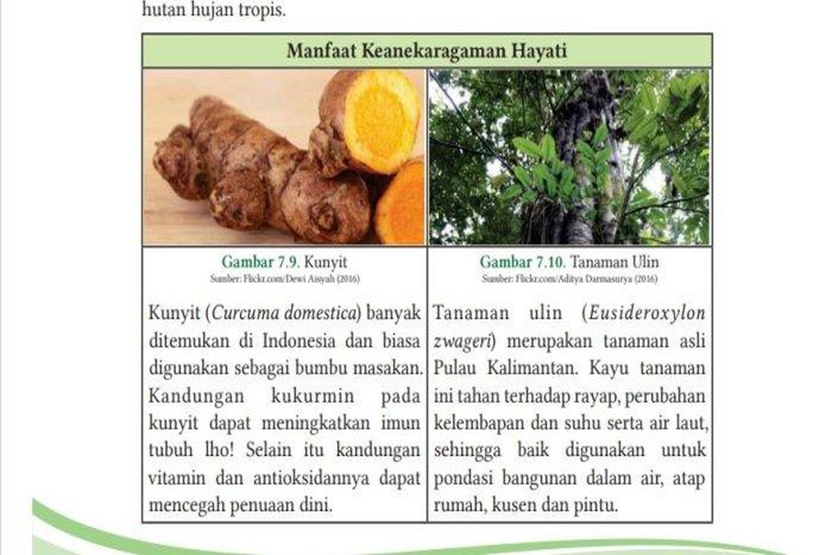Manfaat Keanekaragaman Hayati