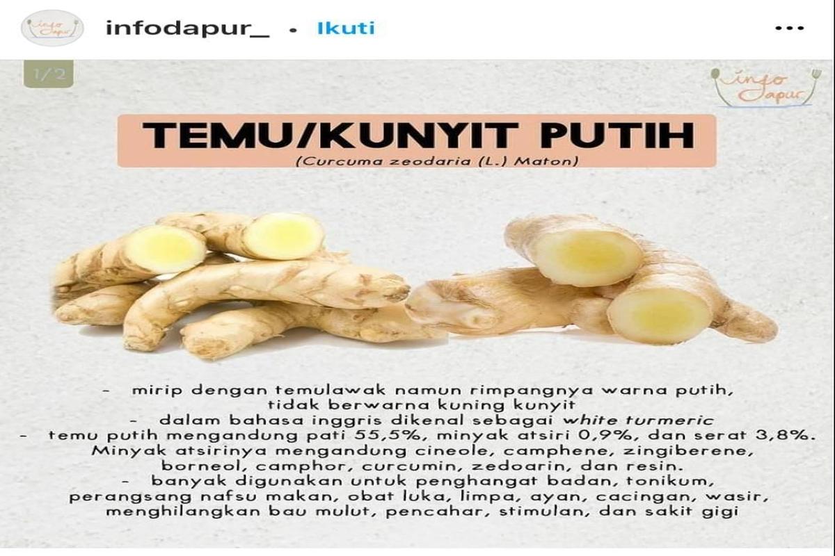 Manfaat Kunyit Putih