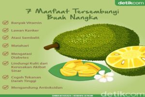 Manfaat Nangka