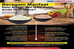 Manfaat Nasi