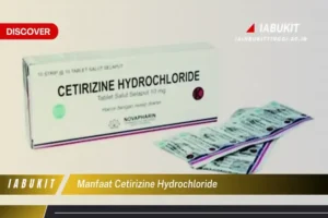 Manfaat Obat Cetirizine Hydrochloride