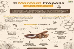 Manfaat Propolis