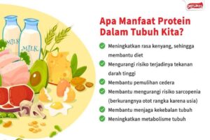 Manfaat Protein