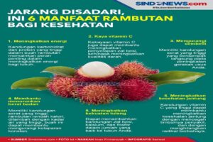 Manfaat Rambutan