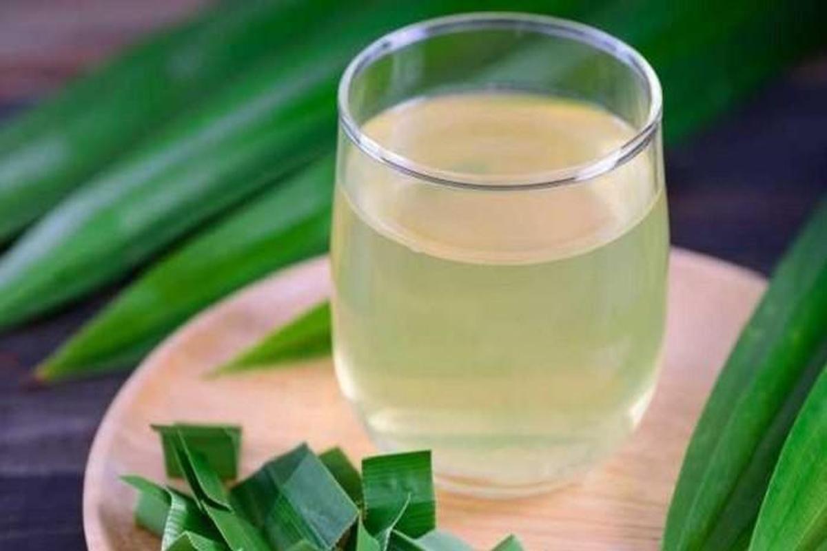 Manfaat Rebusan Daun Pandan