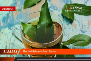 Manfaat Rebusan Daun Salam