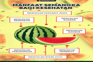 Manfaat Semangka