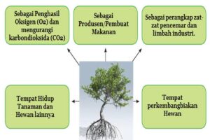 Manfaat Tanaman