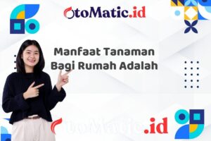 Manfaat Tanaman Bagi Rumah Adalah
