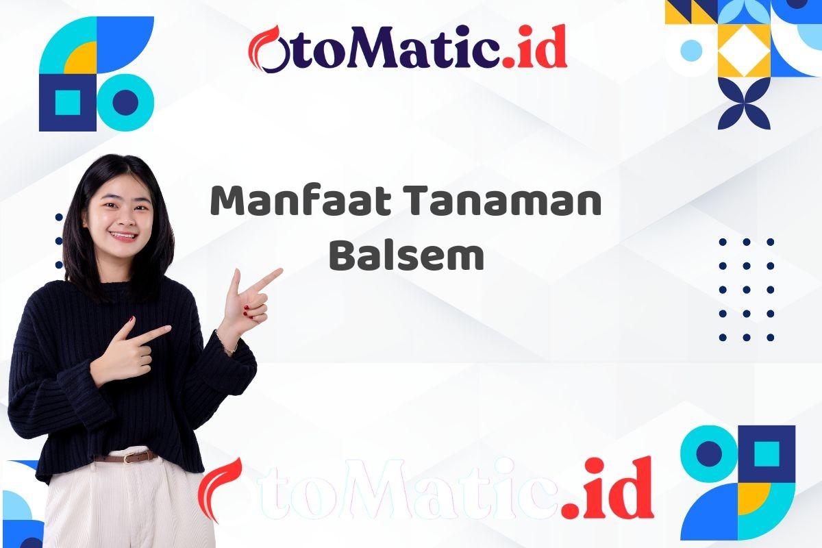 Manfaat Tanaman Balsem