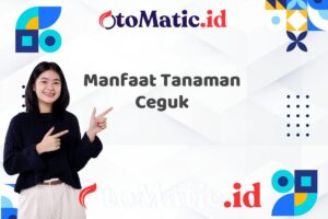 Manfaat Tanaman Ceguk