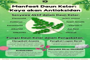 Manfaat Tanaman Daun Kelor