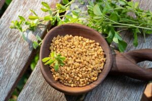 Manfaat Tanaman Fenugreek
