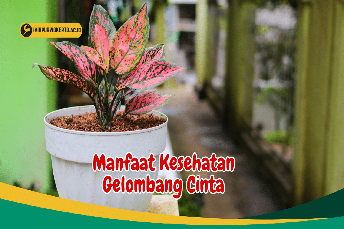 Manfaat Tanaman Gelombang Cinta
