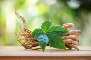 Manfaat Tanaman Ginseng