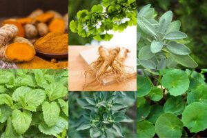 Manfaat Tanaman Herbal