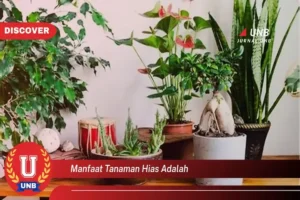 Manfaat Tanaman Hias Adalah
