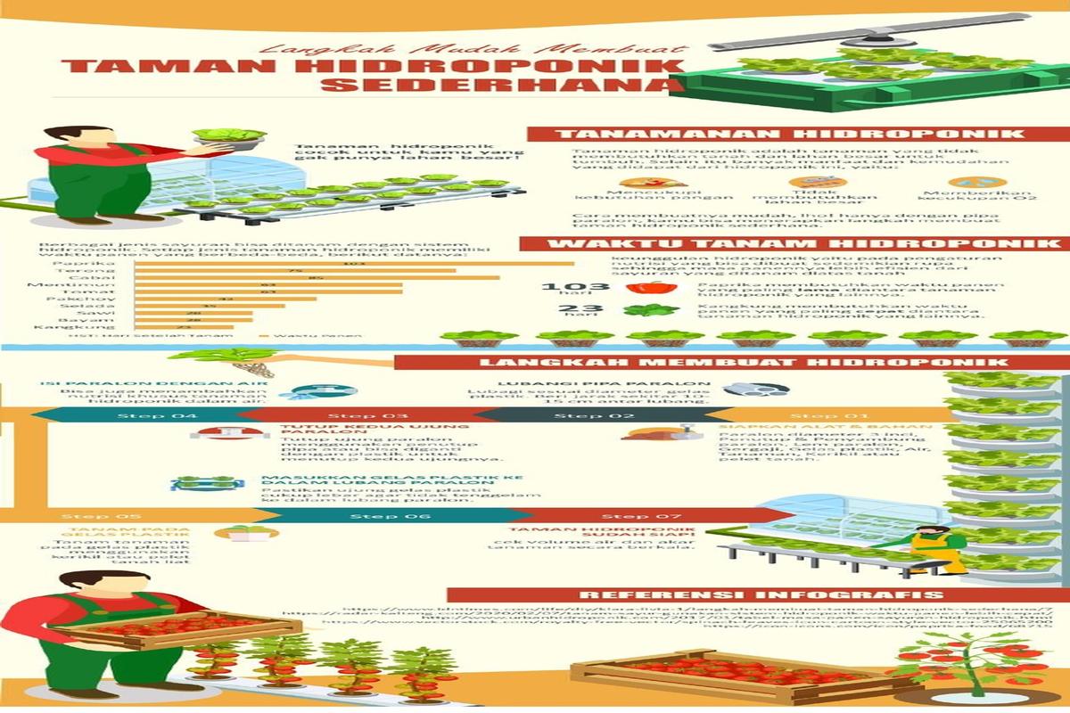 Manfaat Tanaman Hidroponik
