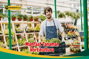 Manfaat Tanaman Hortikultura