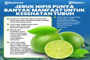Manfaat Tanaman Jeruk Nipis