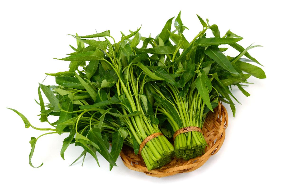 Manfaat Tanaman Kangkung
