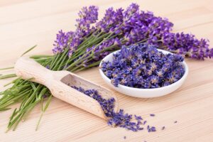 Manfaat Tanaman Lavender