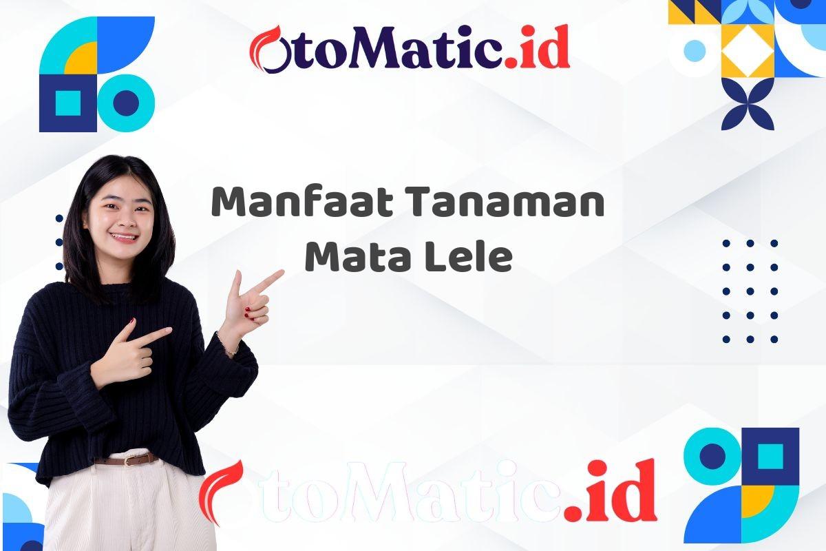 Manfaat Tanaman Mata Lele
