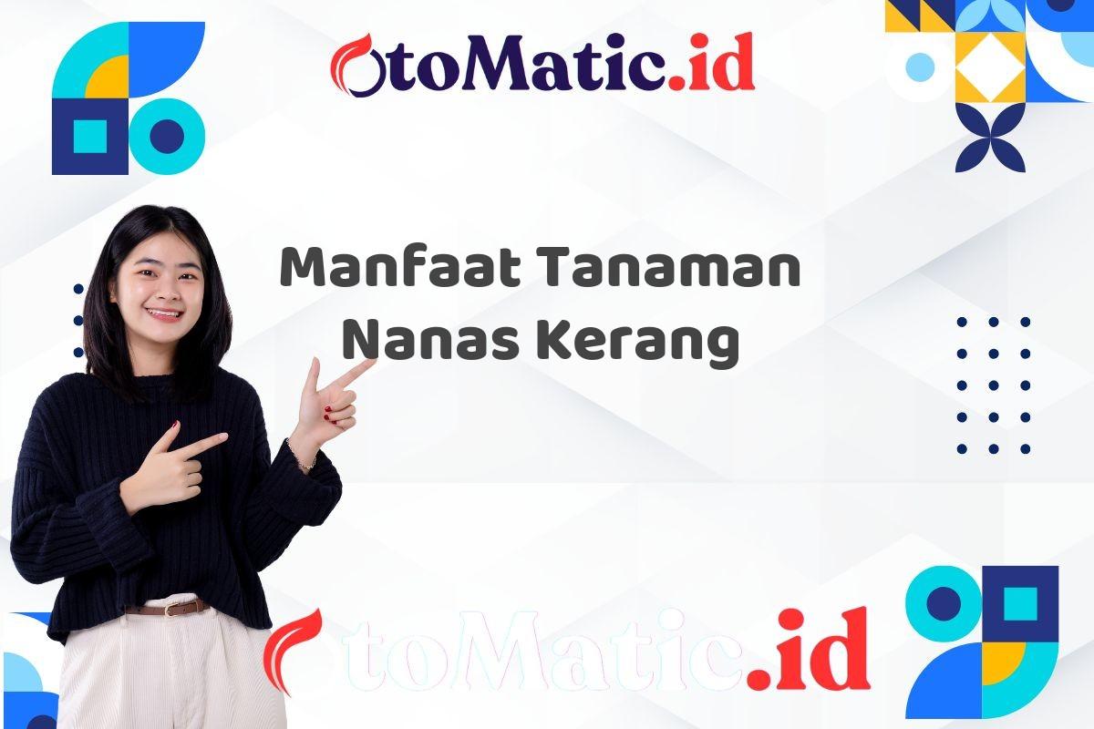 Manfaat Tanaman Nanas Kerang
