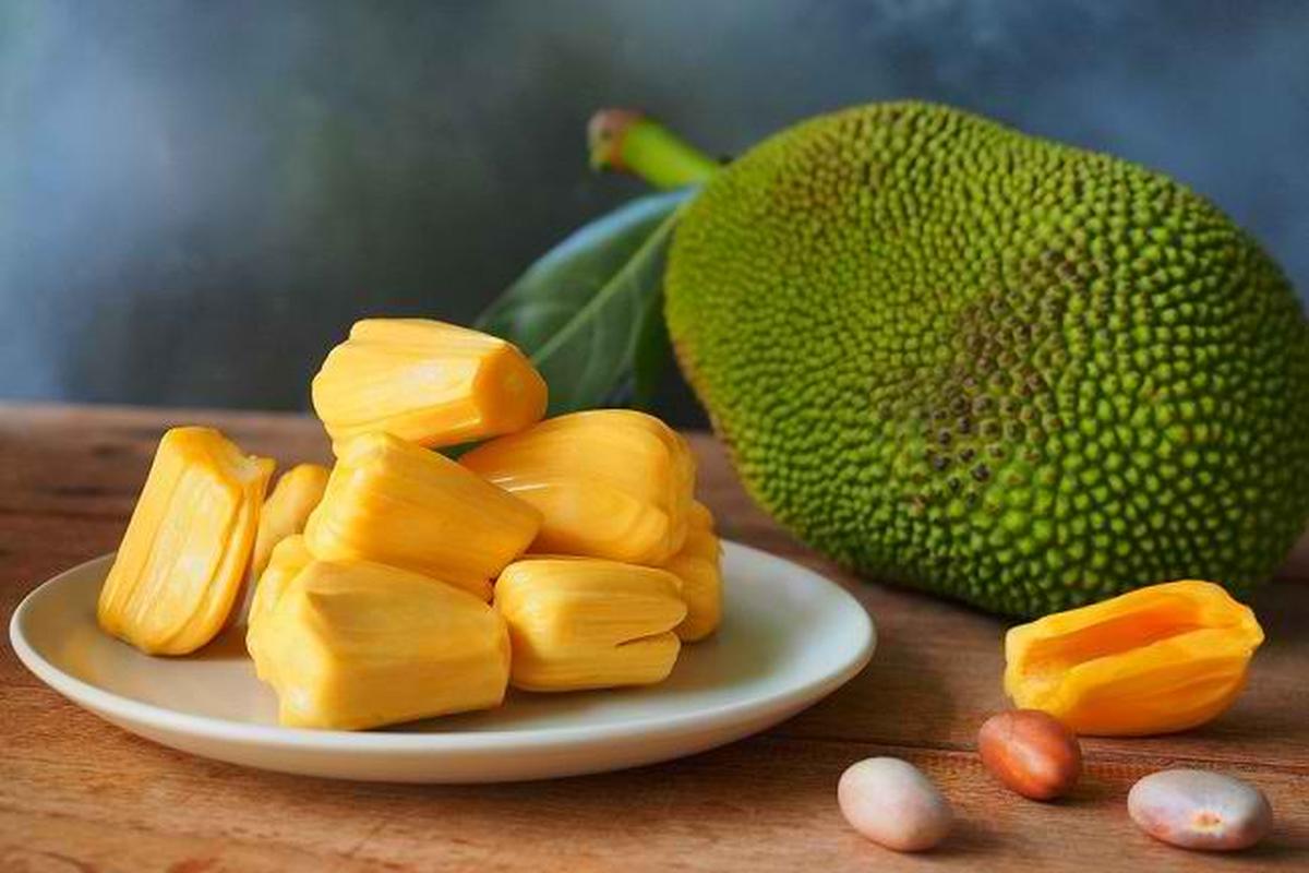 Manfaat Tanaman Nangka